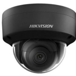 Hikvision DS-2CD2123G0-I 2MP Network Dome CCTV Camera