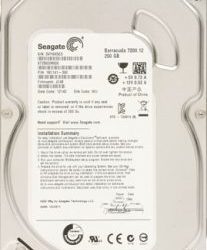 Seagate Barracuda ST250DM000 250GB