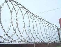 12m Flattrap razor Wire