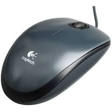 Logitech M100 Optical Mouse