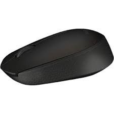 Logitech M171 Wireless Mouse (Black)